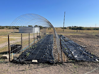 Learning as we GrOw – January 2025