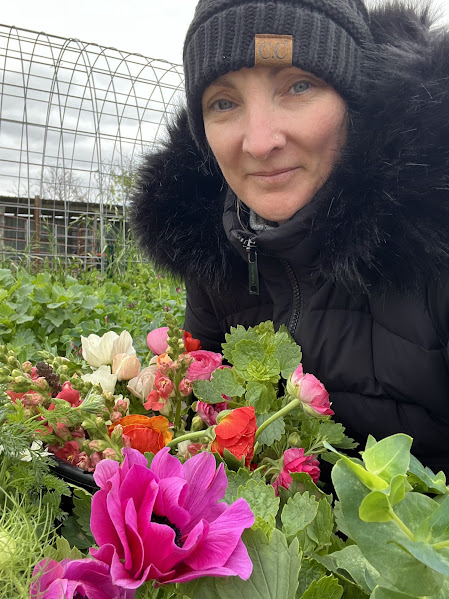 harvesting Anemones, Ranunculus, snap Dragons, and bells of Ireland on a cold day