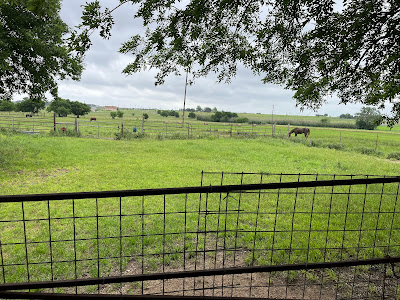 The Dream – November 2024