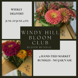 Windy Hill Bloom Club - Bloom Bundle (June 2026)