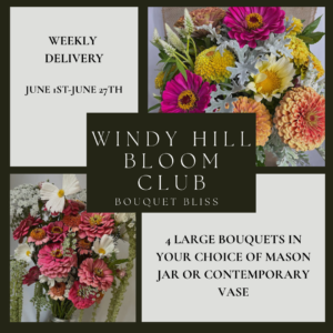 Windy Hill Bloom Club - Budding Brilliance (June 2026)